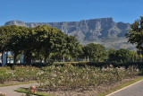 Table Mountain