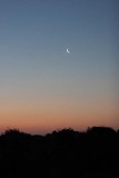 Venus Watching the Moon