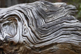 Interesting Log