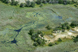 Okavango Delta