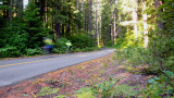 Climbing McKenzie Pass