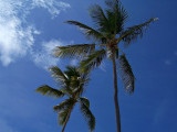 Punta Cana 100_0161.jpg