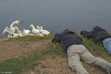 Helgoland, 2007 - Rob - Ben