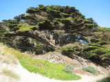 California2007 059.jpg