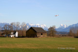 Snohomish, WA Barn