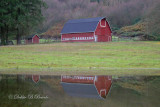 Sultan, WA Barn