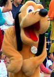 pluto