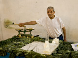 Tunis Medina - Cheese Vendor