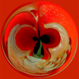 Inside a Red Pepper