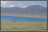 CRW_1471.jpg