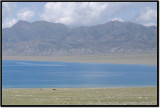 CRW_1502.jpg