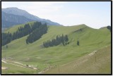 IMG_1596.jpg