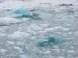 hubbard glacier ice chunks 1785.jpg