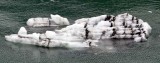 hubbard glacier ice chunks 4916.jpg