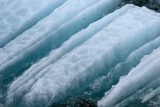 hubbard glacier ice chunks 4919.jpg