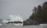 South-East Winds