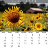 July 2007
