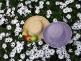 Summer Picnic