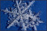 <b>9th Place</b><br>Winter<br>by Jim H.