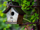 Birdhouse