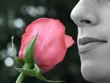 A Wonderful Scent