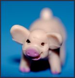 Pass the Porcine Portrait Please