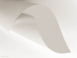 <b>9th Place</b><br>Paper Curl<br>by Markjay