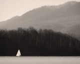 <b>7th Place</b><br>Peace at Large<br>by Cat