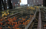 The Train Doesnt Go Here Anymore *