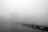 crossing*