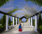 <b>9th Place</b><br>Onward ever Onward<br>by thubleau