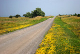 Long Long Road *