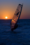 Surfing Home