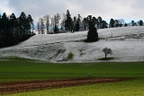 way between green and white *
