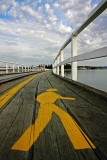 <b>6th Place</b><br>Causeway<br>by Neil Lawson