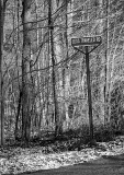 Poetic Road