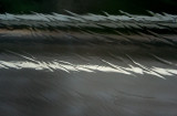 Side of the Road