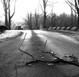 Fallen *