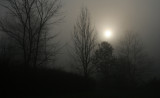 Grey Sun