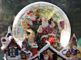 Globe