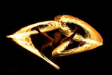 10th Place<br>Fire Art