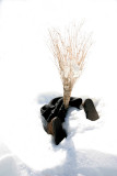 Colder Than a Witches ... Broom!  Redux