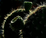 Dangerous curves *