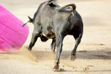 The Charge