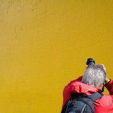 photographing it
