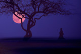 7th Place<br>A Woman, a Hat, a Tree, & the Moon