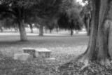 Where we met