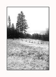 Winter brings an Empty Garden*