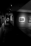 Night at the Museum