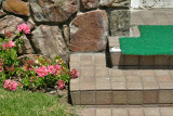 Flowers by the Steps